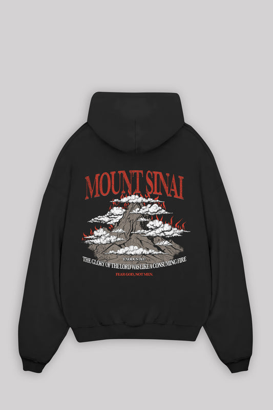MOUNT SINAI OVERSIZED HOODIE